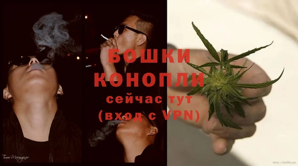 дурь Киреевск