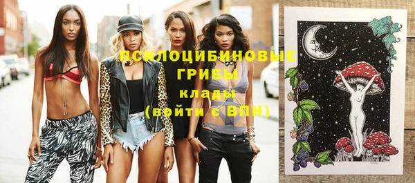 гидропоника Карпинск