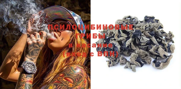 дурь Киреевск