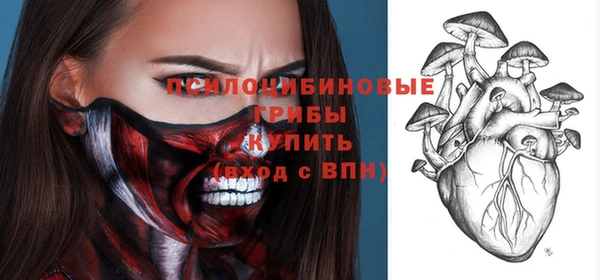 дживик Касимов