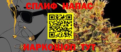 ALPHA PVP Гай