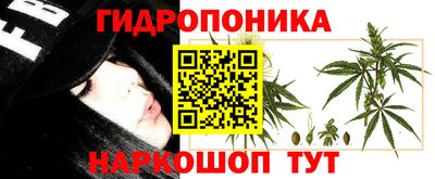 первитин Гатчина