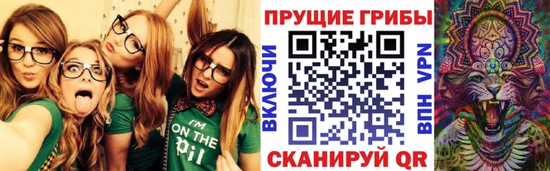ОМГ ОМГ как зайти  Избербаш  Псилоцибиновые грибы ЛСД 