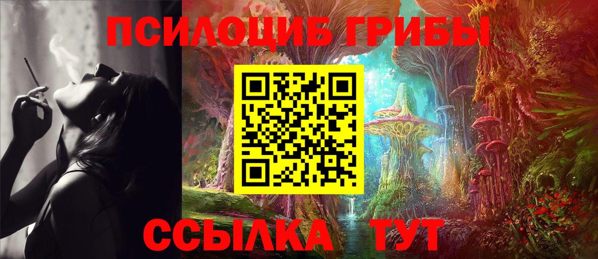 Галлюциногенные грибы прущие грибы  Вход с VPN  Избербаш 