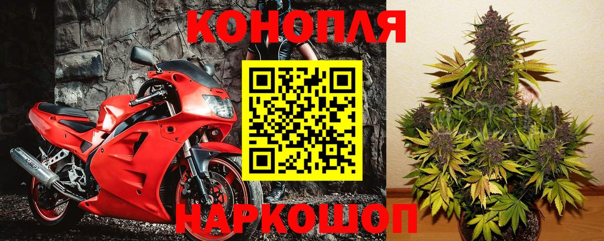 Каннабис индика  Каннабис OG Kush  Избербаш  Вход с VPN 